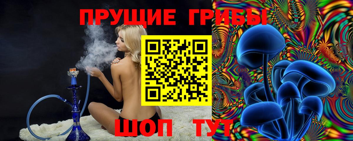 Псилоцибиновые грибы прущие грибы  магазин  наркотиков  Галлюциногенные грибы Psilocybe  Брянск  Вход с VPN 